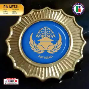 PIN Metal